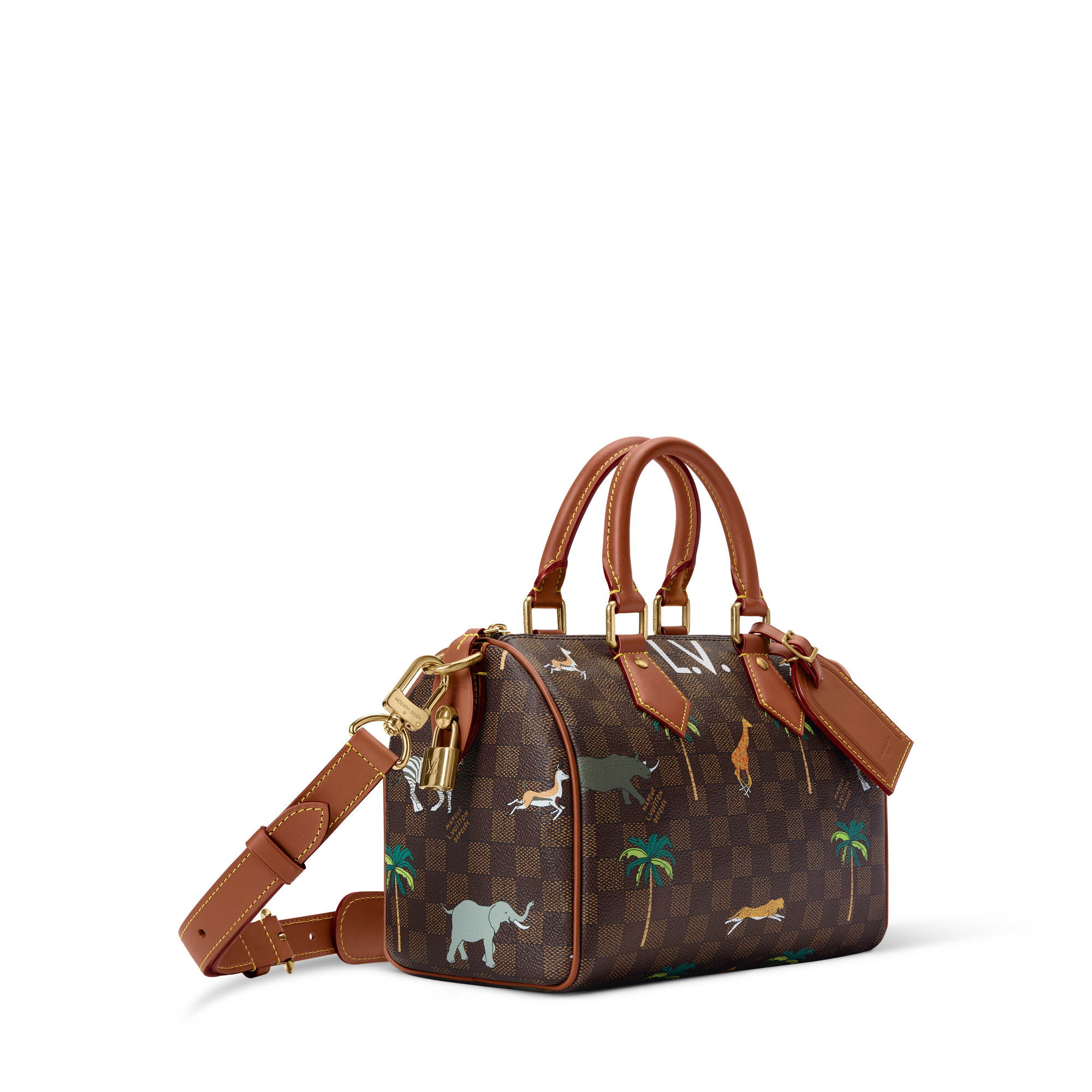Speedy 25 Bandoulière x The Darjeeling Limited Damier Other